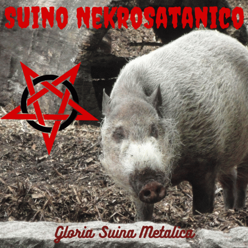 Suino Nekrosatanico : Gloria Suina Metalica